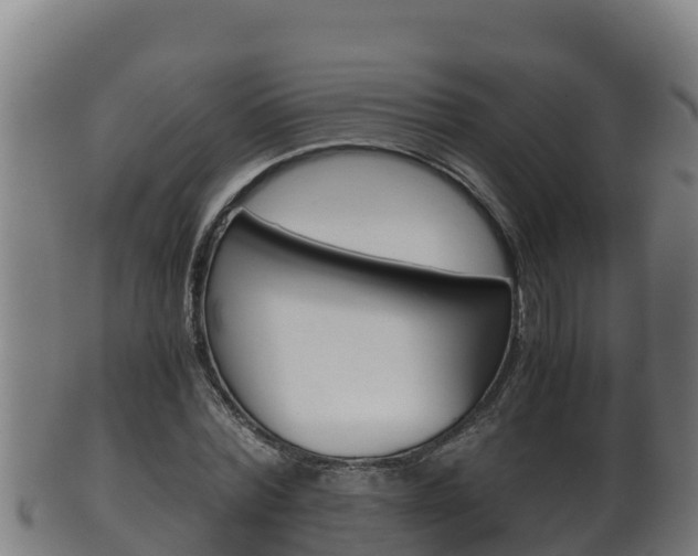 X0000100380780200806060825