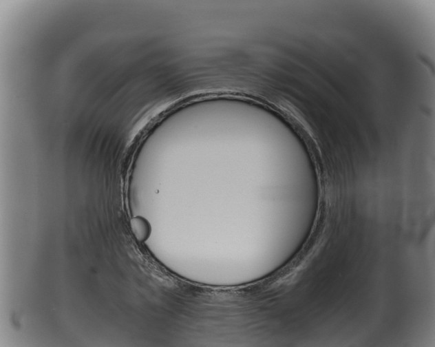 X0000100380781200806060825