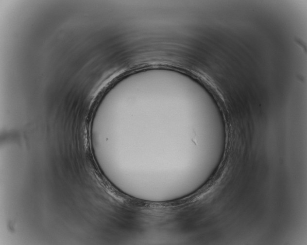 X0000100380782200806060825