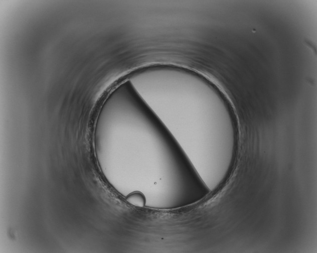 X0000100380783200806060825
