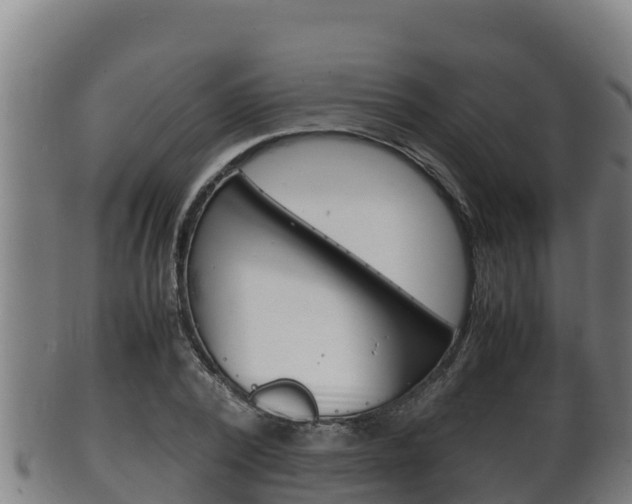 X0000100380784200806060825