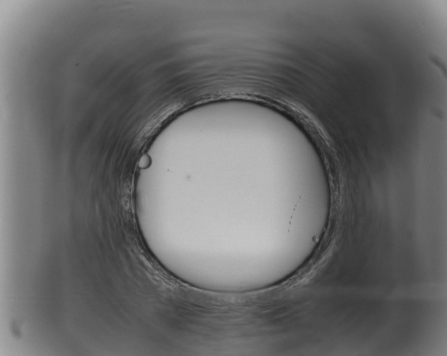 X0000100380785200806060825
