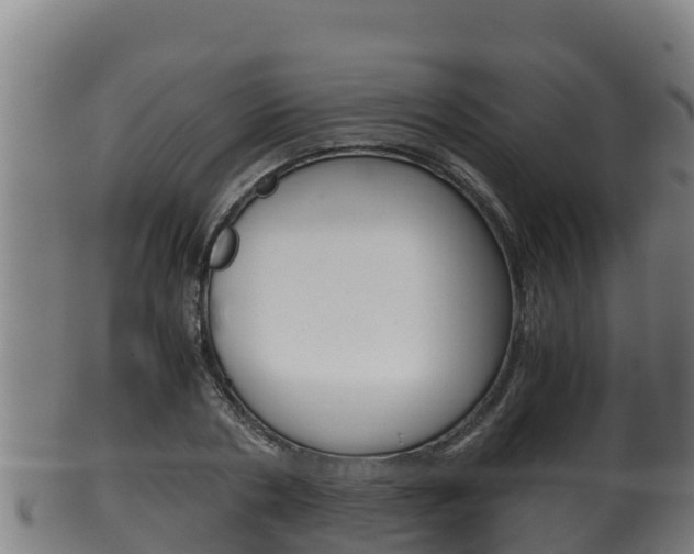 X0000100380786200806060825