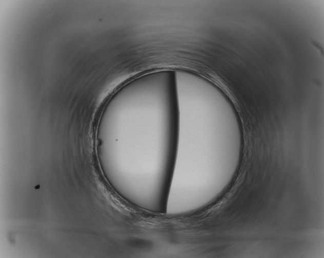 X0000100380787200806060825