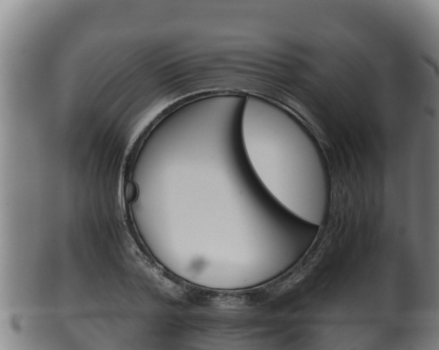 X0000100380788200806060825