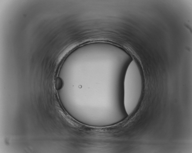 X0000100380789200806060825