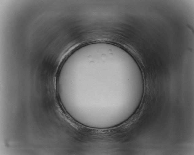 X0000100380790200806060825