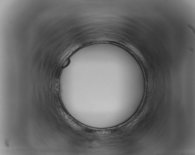 X0000100380793200806060825