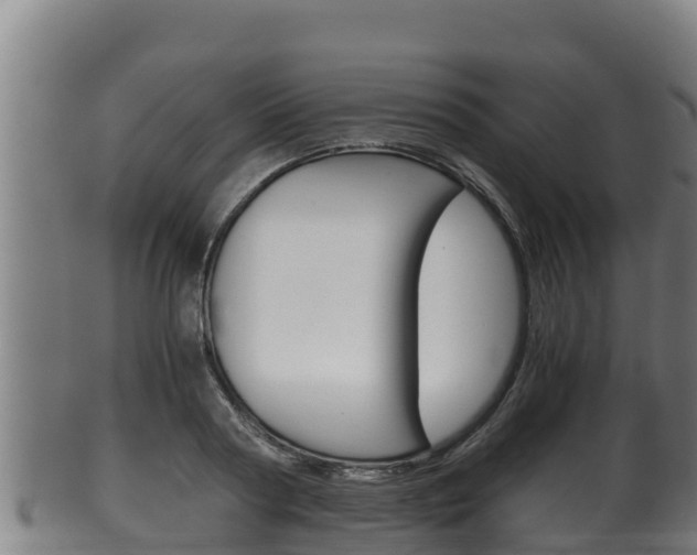X0000100380794200806060825
