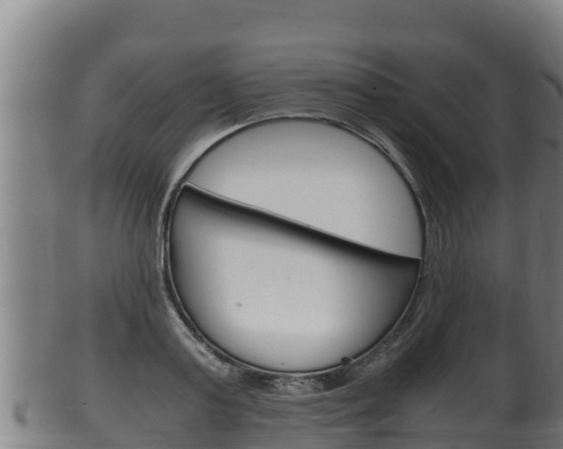 X0000100380795200806060825