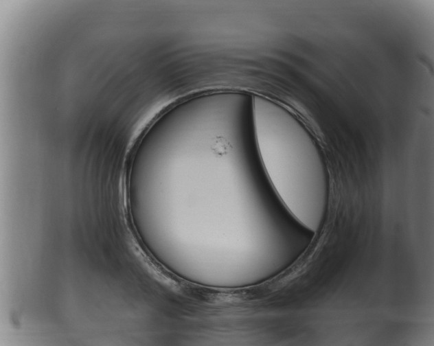 X0000100380796200806060825