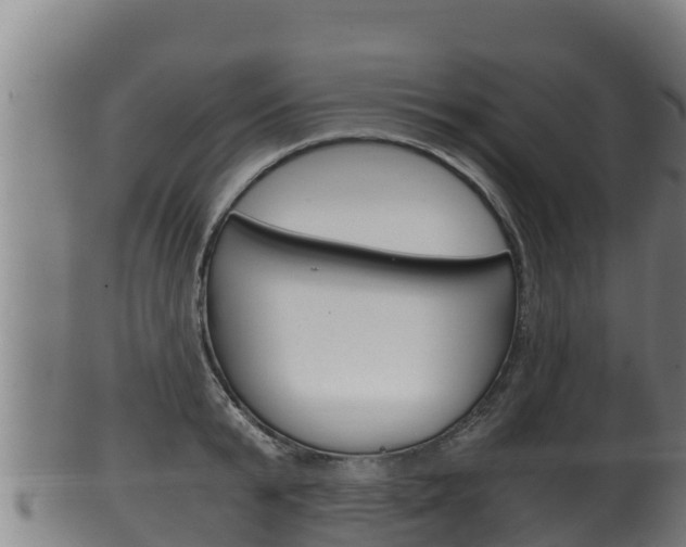 X0000100380799200806060825