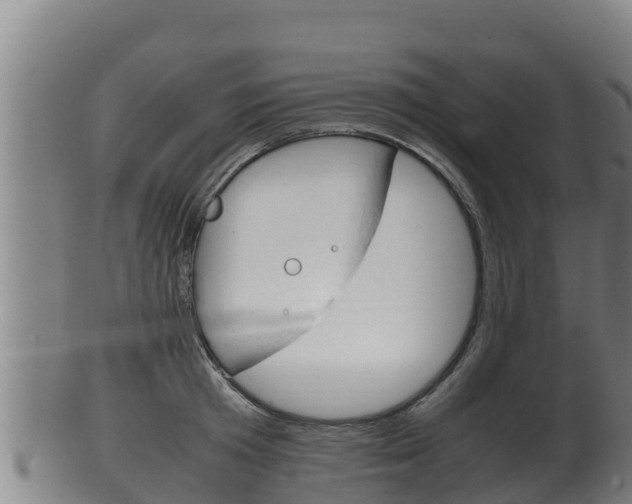 X0000100380801200806060825