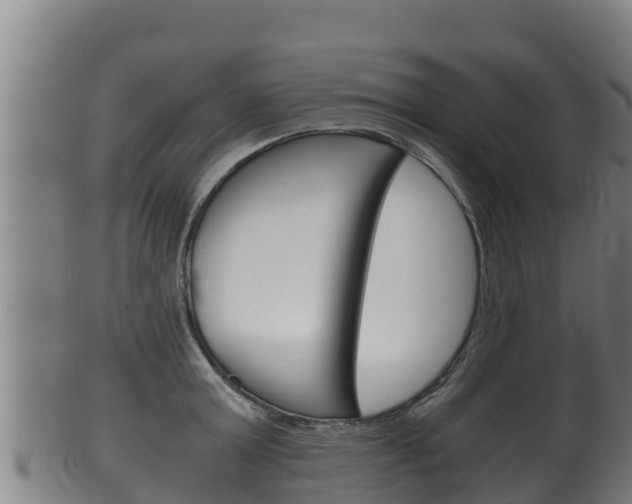 X0000100380803200806060825