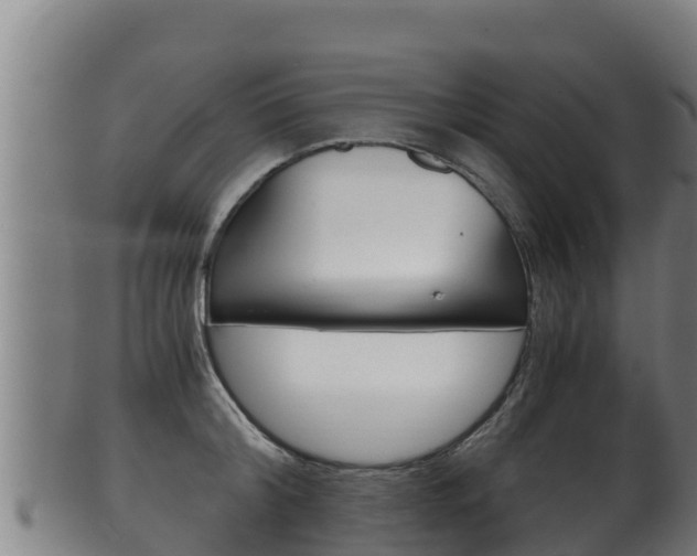 X0000100380804200806060825
