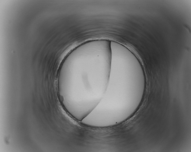 X0000100380805200806060825