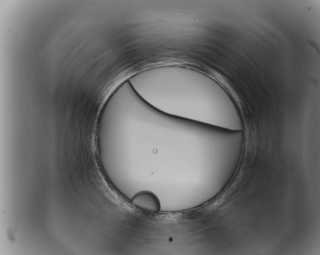 X0000100380810200806060825