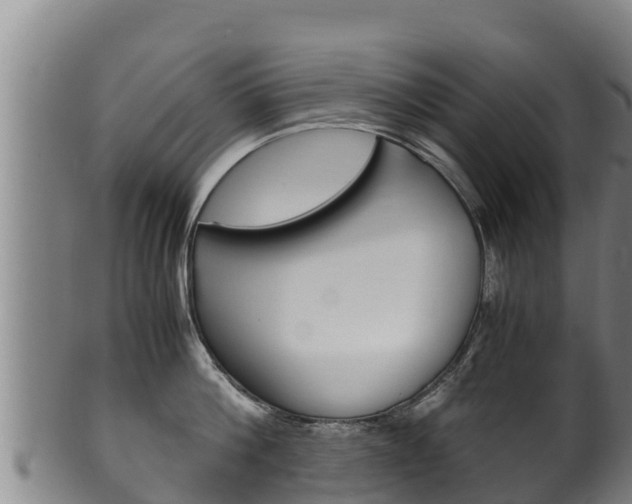 X0000100380812200806060825