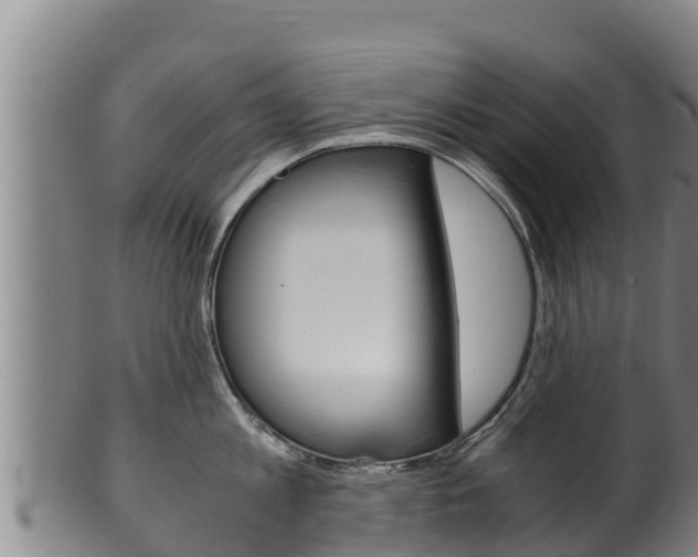 X0000100380813200806060825
