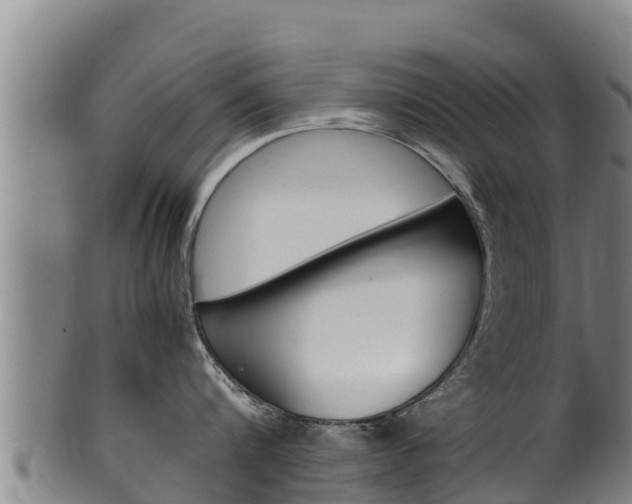 X0000100380816200806060825