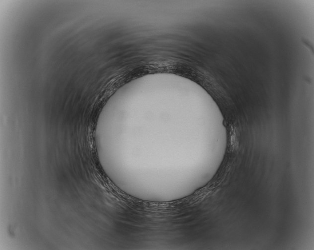 X0000100380819200806060824
