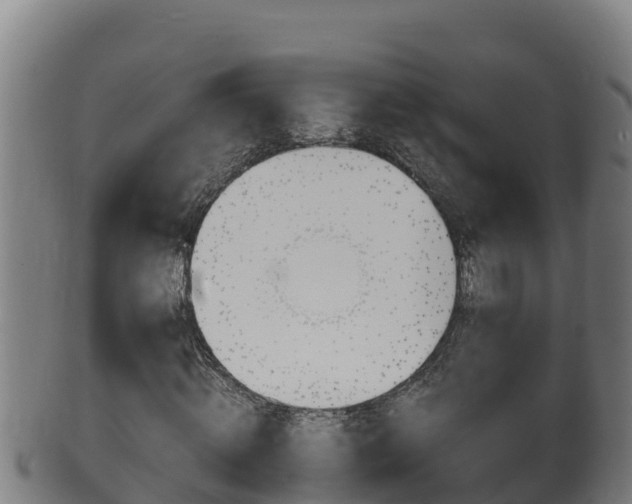X0000100380820200806060824