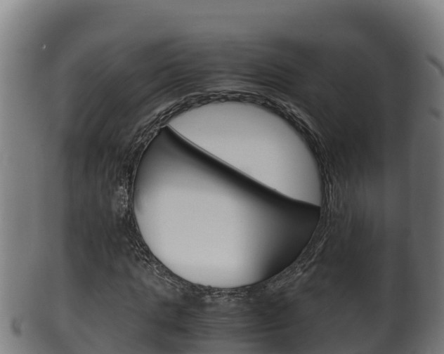 X0000100380821200806060824