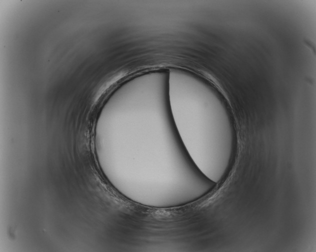 X0000100380827200806060824
