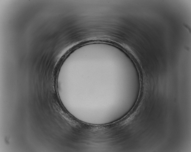 X0000100380830200806060824