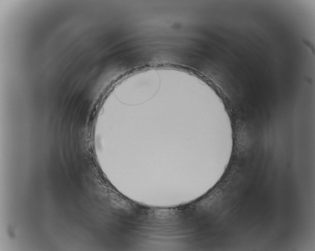 X0000100380832200806060824