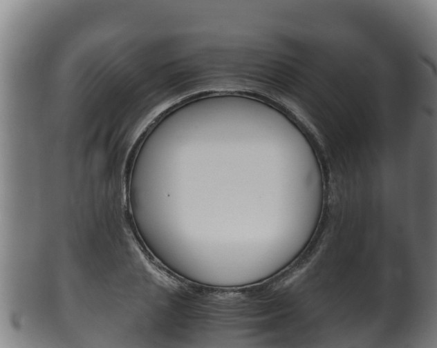 X0000100380837200806060824
