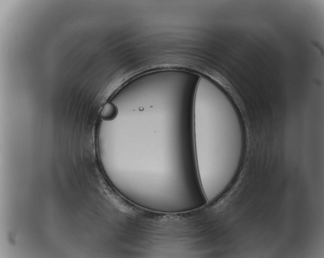 X0000100380842200806060824