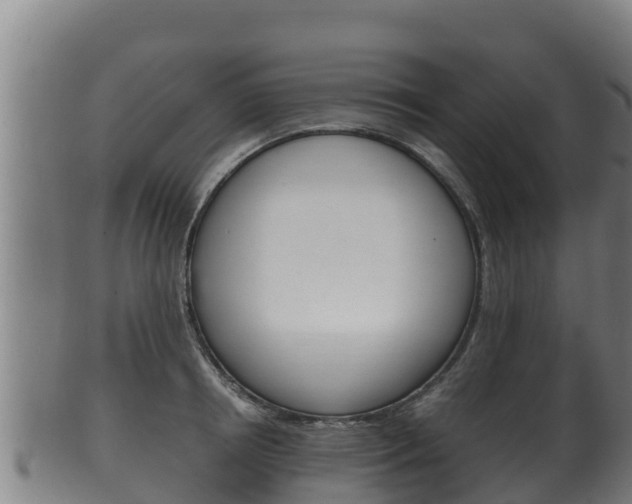 X0000100380850200806060824
