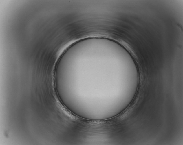 X0000100380854200806060824