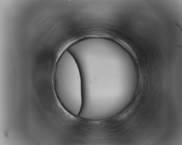 X0000100380855200806060825