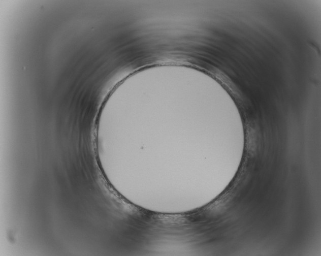 X0000100380856200806060825