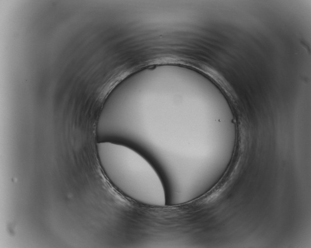 X0000100380857200806060825