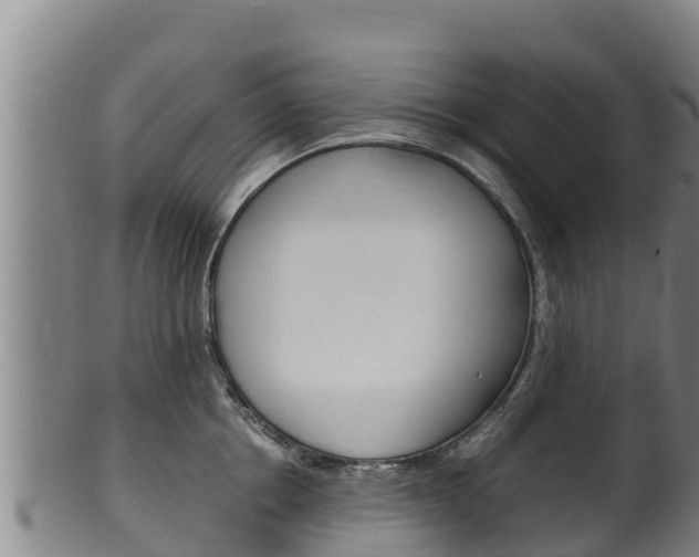 X0000100380858200806060825