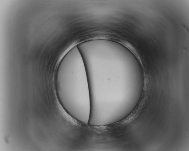 X0000100380859200806060825