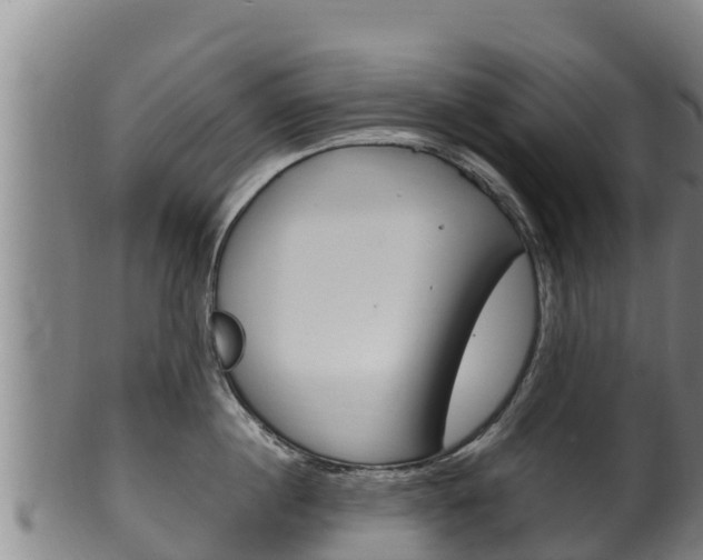 X0000100380860200806060825