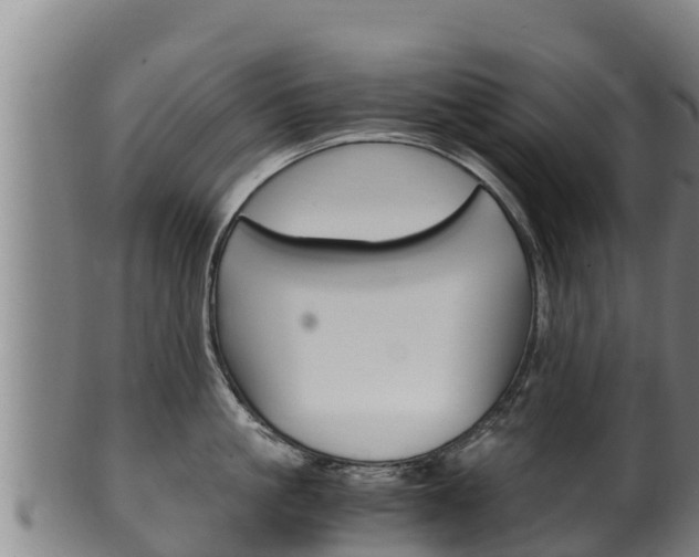 X0000100380861200806060825
