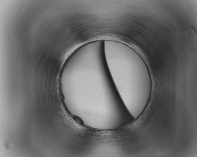X0000100380862200806060825