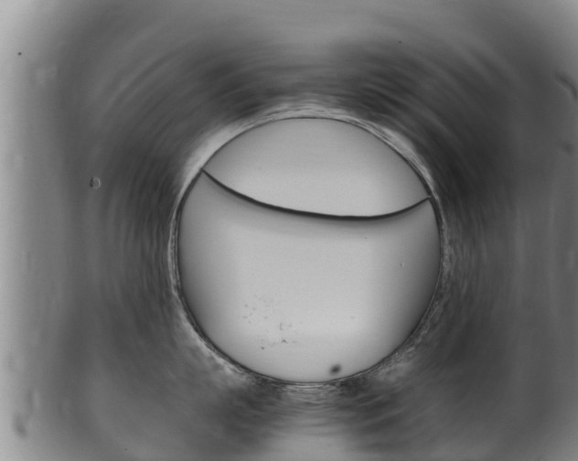 X0000100380863200806060825