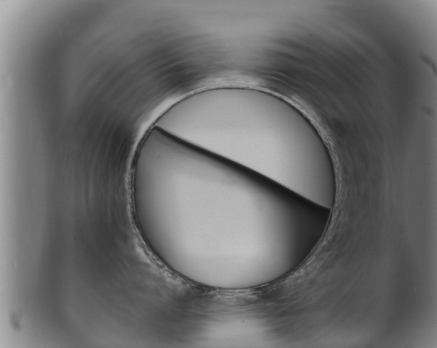 X0000100380864200806060825