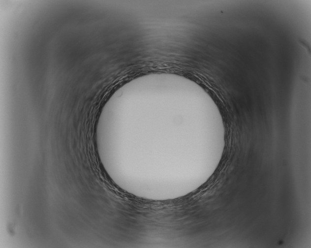 X0000100380865200806060824