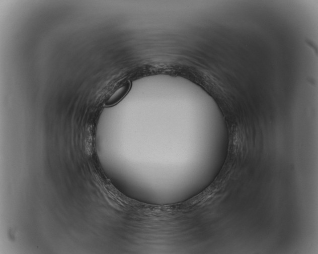 X0000100380868200806060824