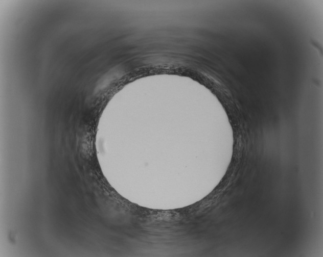 X0000100380869200806060824