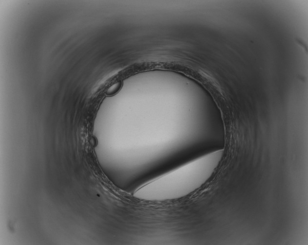 X0000100380872200806060824