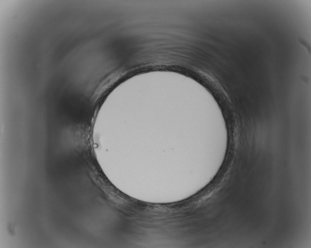 X0000100380873200806060824