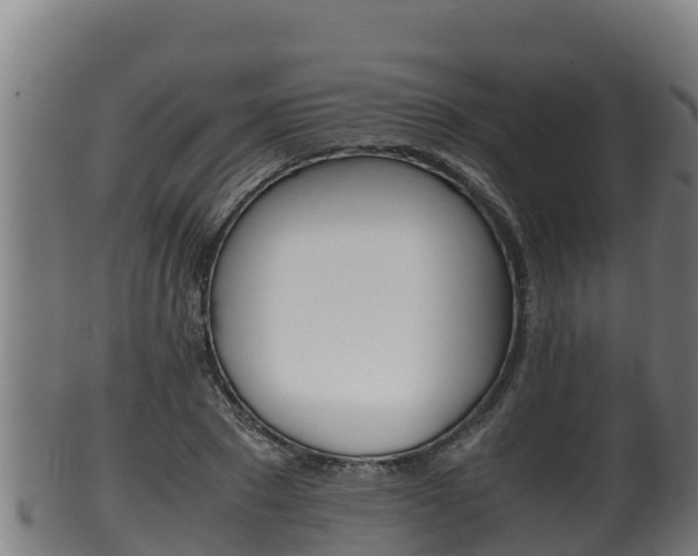 X0000100380881200806060824